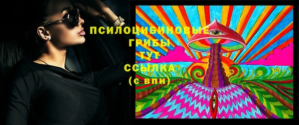 твердый Алзамай