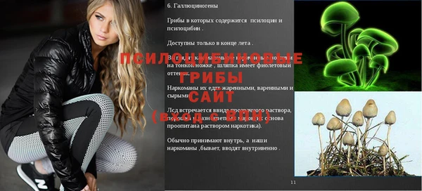соль курить ск Абаза